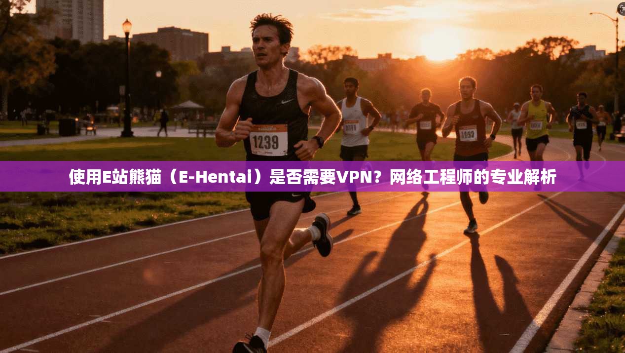 使用E站熊猫（E-Hentai）是否需要VPN？网络工程师的专业解析
