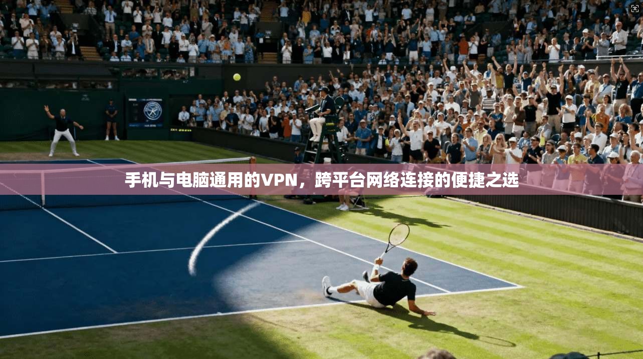 手机与电脑通用的VPN，跨平台网络连接的便捷之选