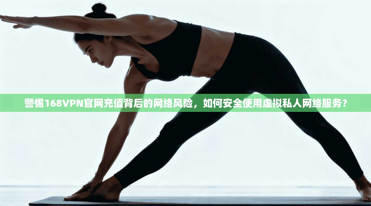 警惕168VPN官网充值背后的网络风险，如何安全使用虚拟私人网络服务？