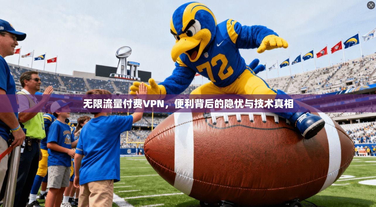 无限流量付费VPN，便利背后的隐忧与技术真相