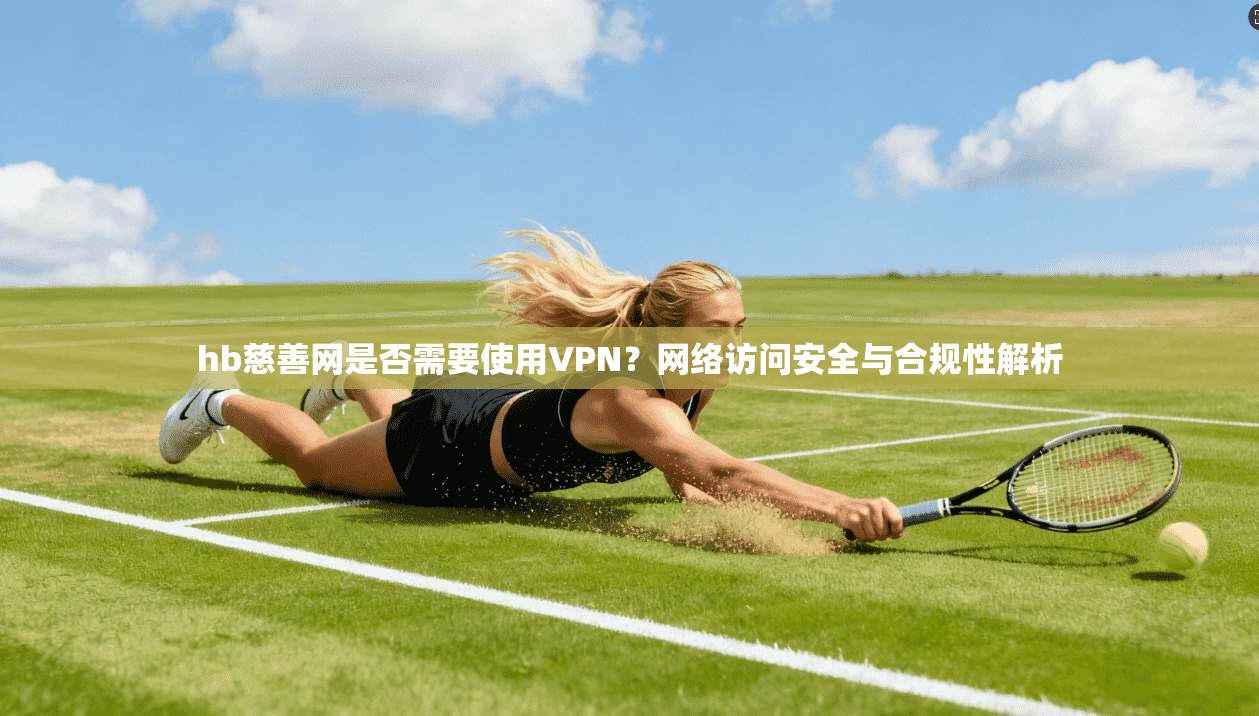 hb慈善网是否需要使用VPN?网络访问安全与合规性解析 hb慈善网是否需要使用VPN?网络访问安全与合规性解析