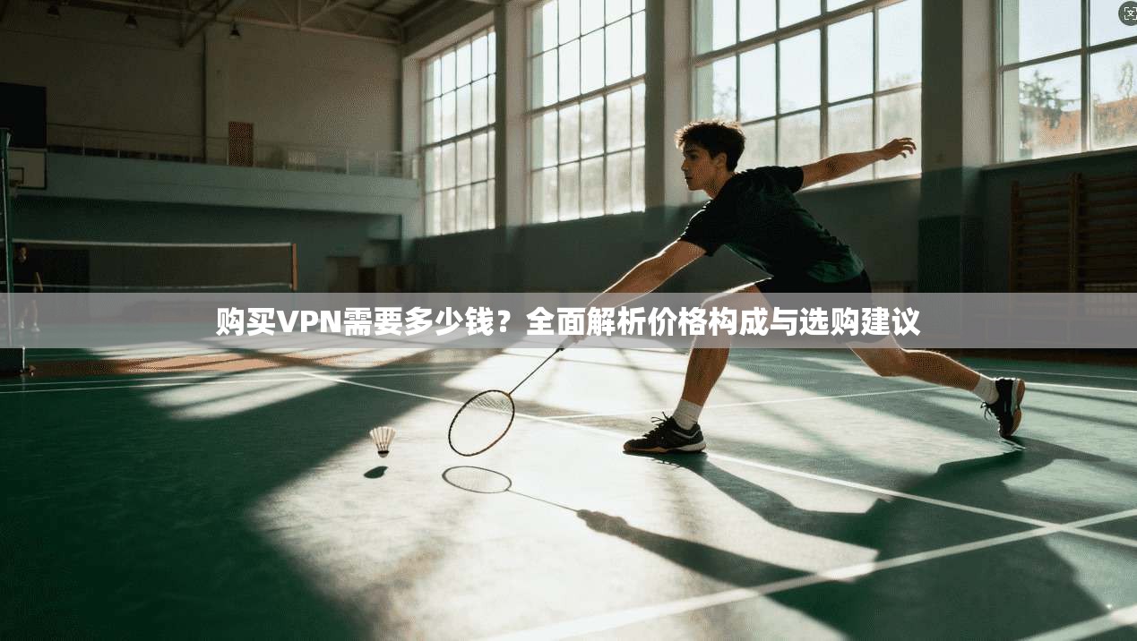 购买VPN需要多少钱？全面解析价格构成与选购建议
