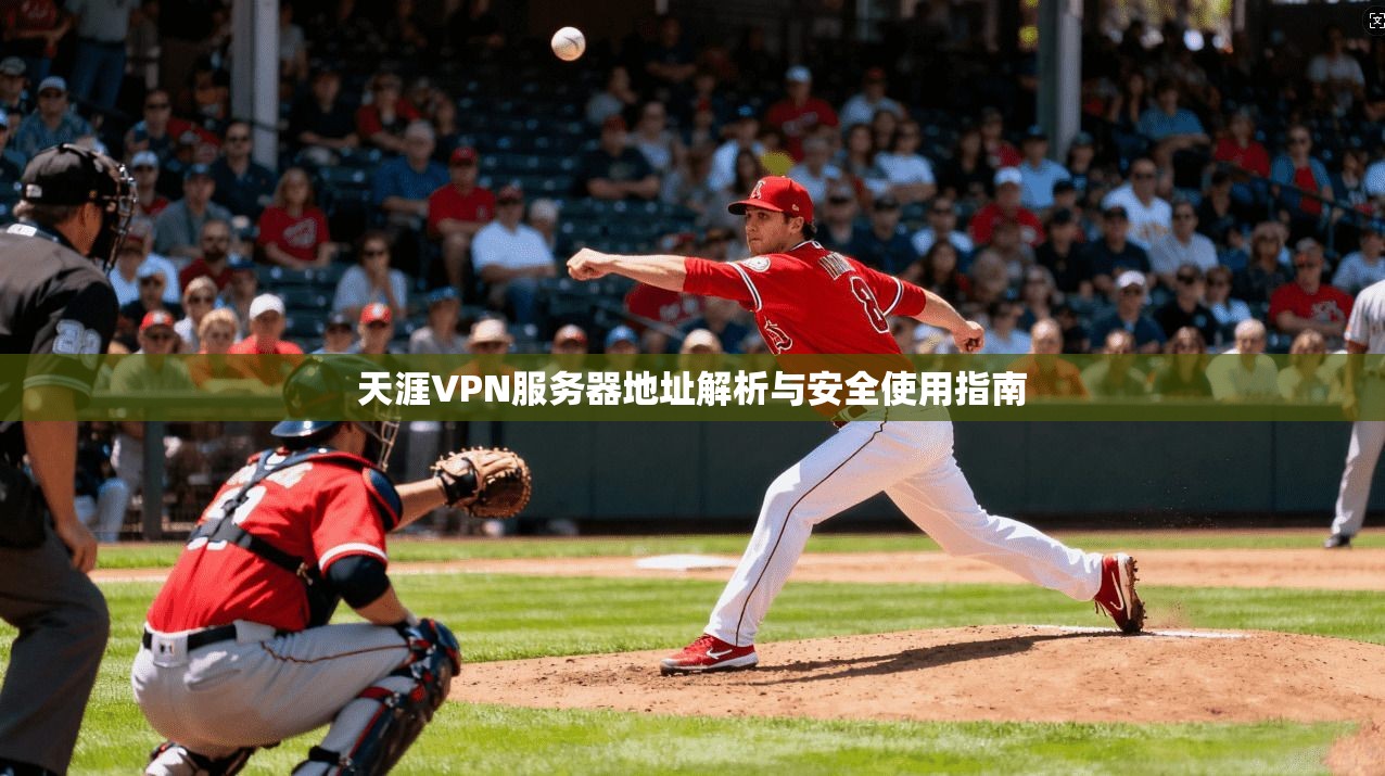 天涯VPN服务器地址解析与安全使用指南
