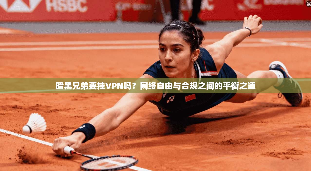 暗黑兄弟要挂VPN吗?网络自由与合规之间的平衡之道 暗黑兄弟要挂VPN吗?网络自由与合规之间的平衡之道