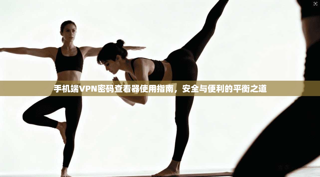 手机端VPN密码查看器使用指南，安全与便利的平衡之道