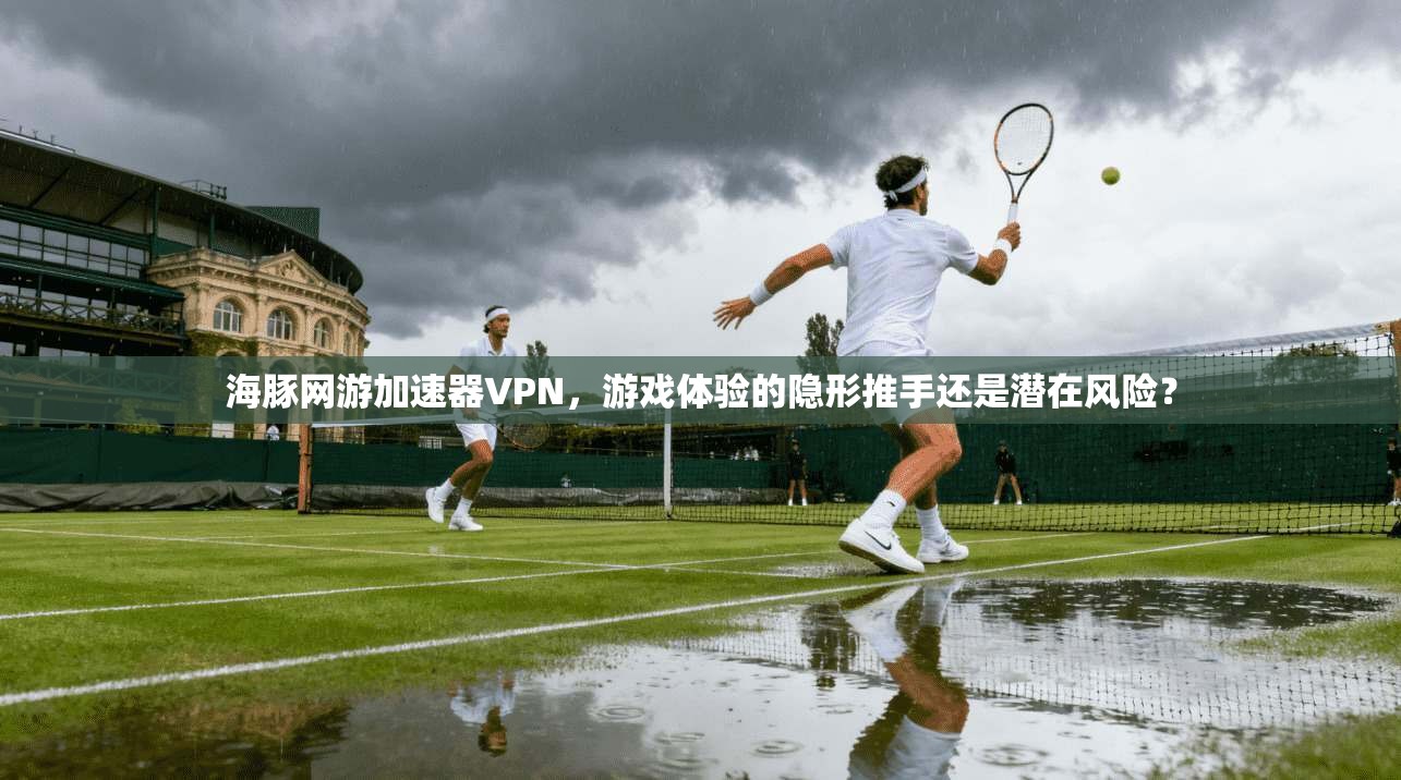 海豚网游加速器VPN,游戏体验的隐形推手还是潜在风险? 海豚网游加速器VPN,游戏体验的隐形推手还是潜在风险?