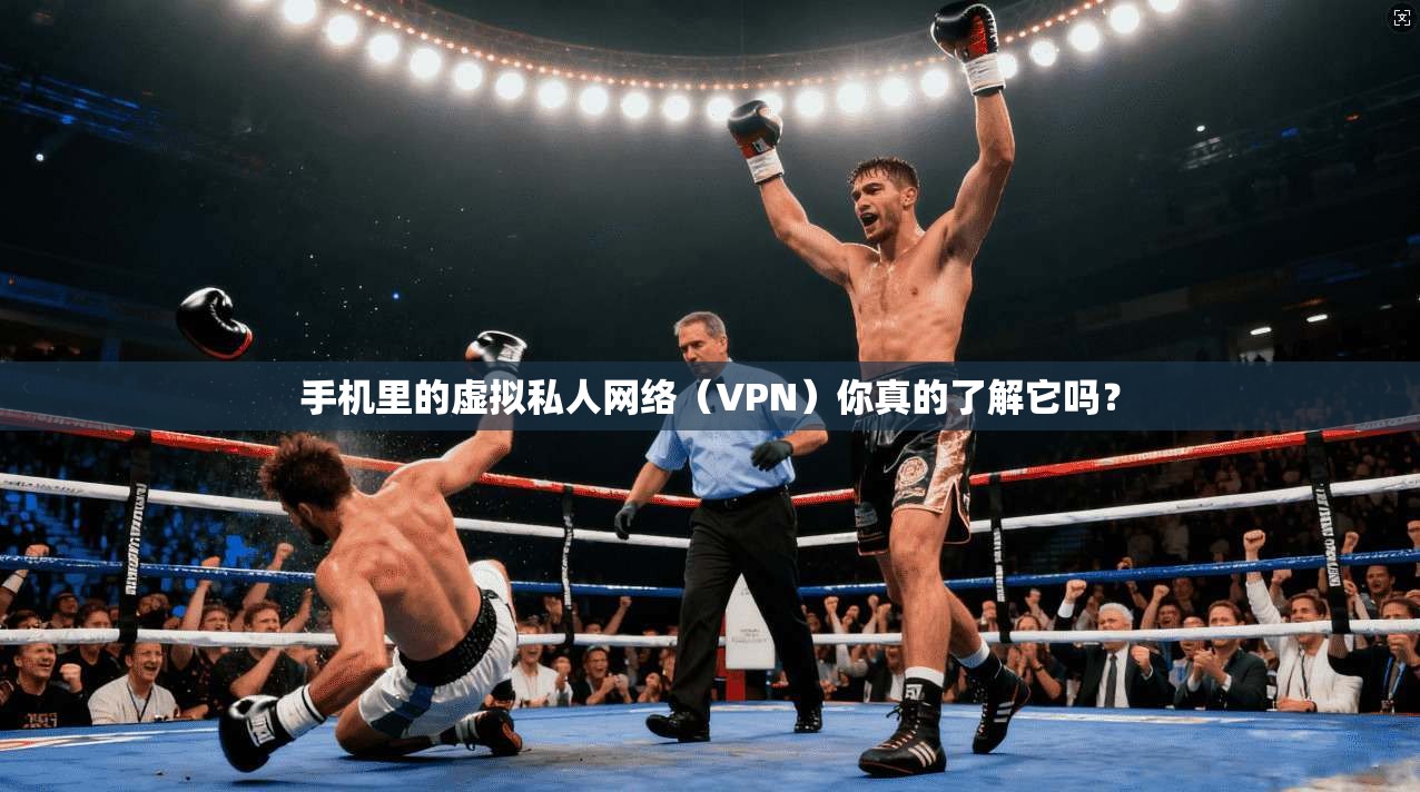 手机里的虚拟私人网络(VPN)你真的了解它吗? 手机里的虚拟私人网络(VPN)你真的了解它吗?