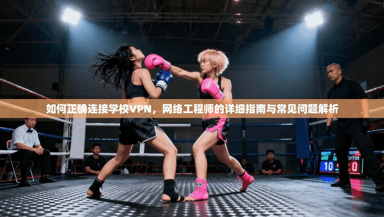 如何正确连接学校VPN，网络工程师的详细指南与常见问题解析