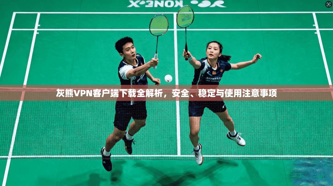 灰熊VPN客户端下载全解析，安全、稳定与使用注意事项