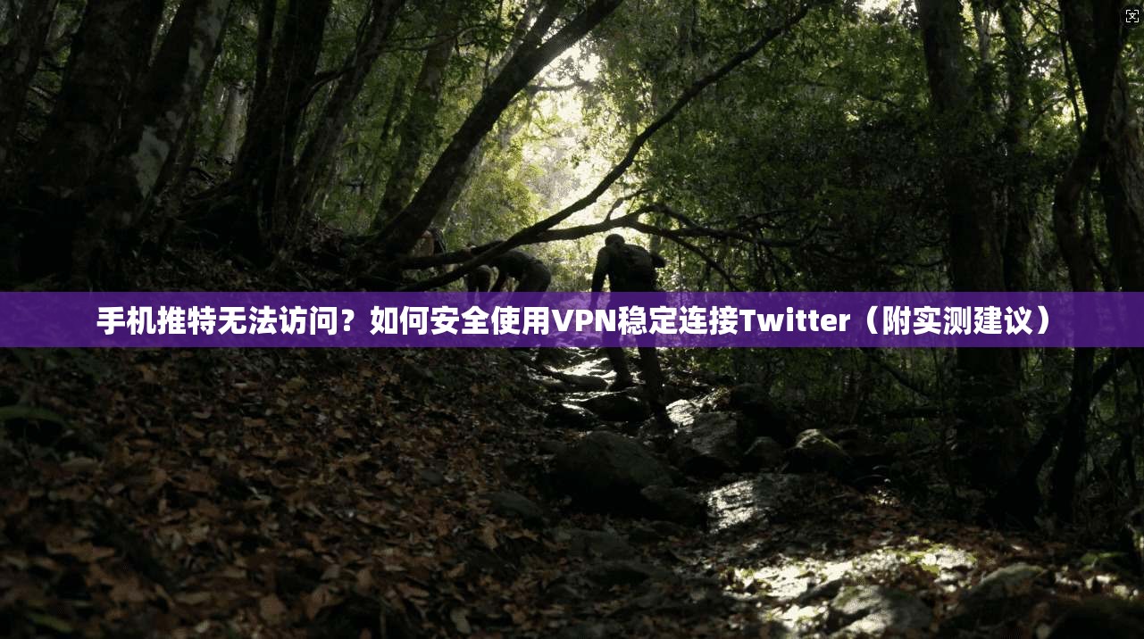 手机推特无法访问？如何安全使用VPN稳定连接Twitter（附实测建议）