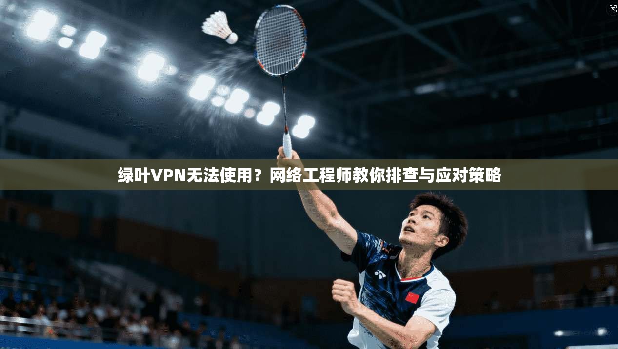 绿叶VPN无法使用？网络工程师教你排查与应对策略