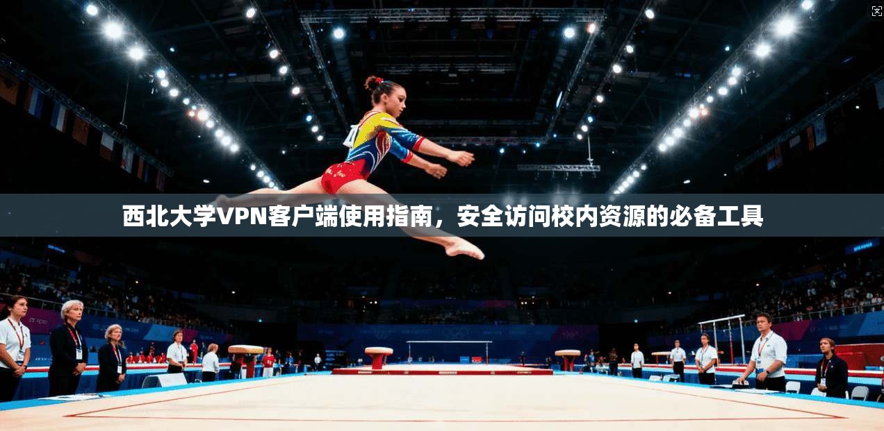 西北大学VPN客户端使用指南，安全访问校内资源的必备工具