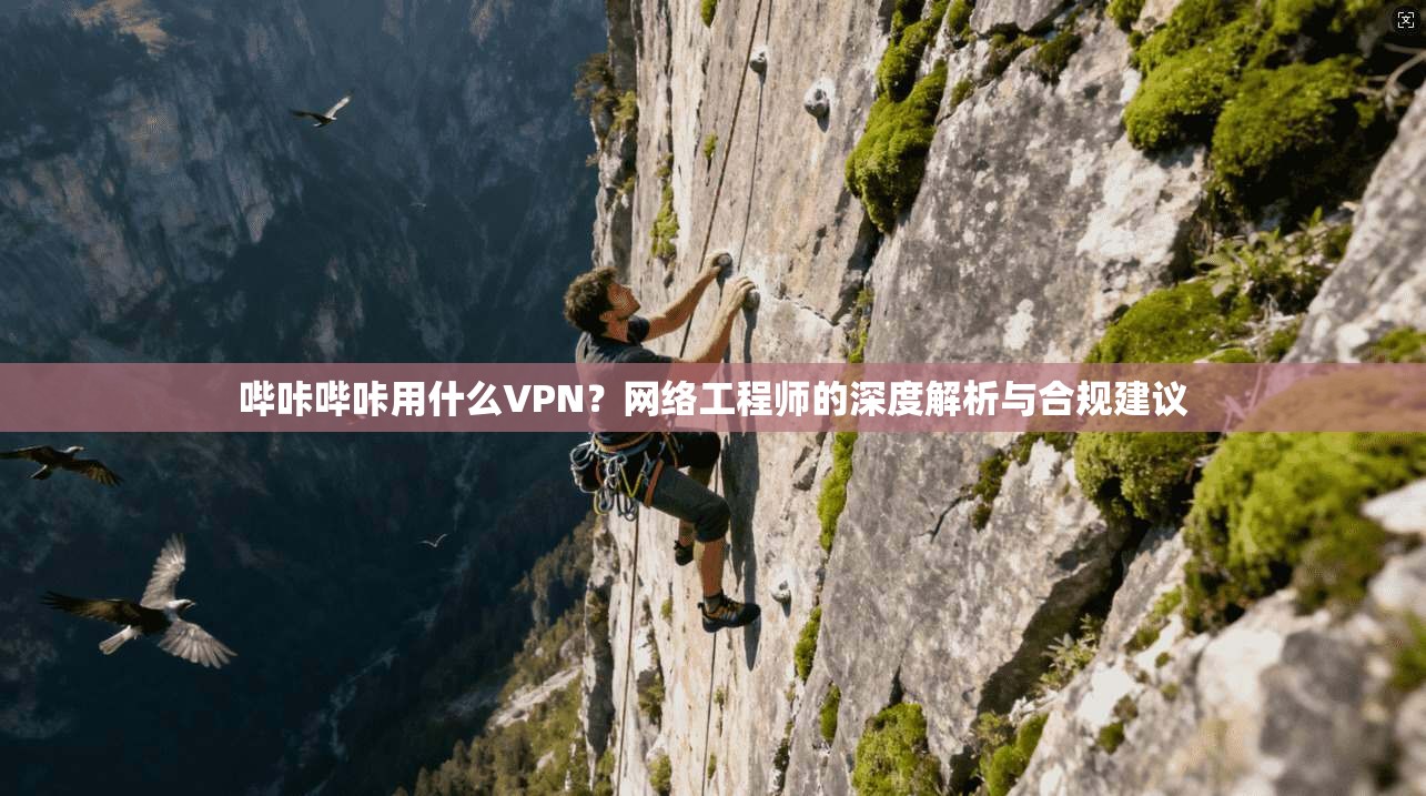 哔咔哔咔用什么VPN？网络工程师的深度解析与合规建议