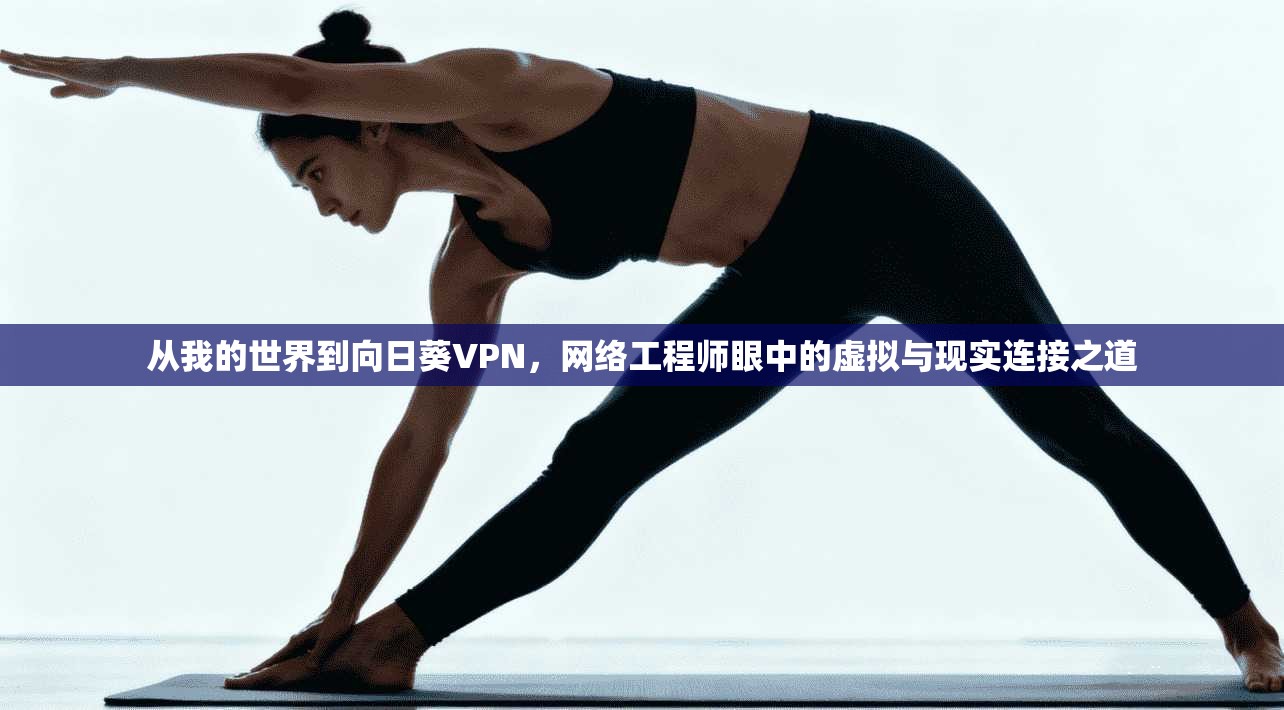 从我的世界到向日葵VPN，网络工程师眼中的虚拟与现实连接之道