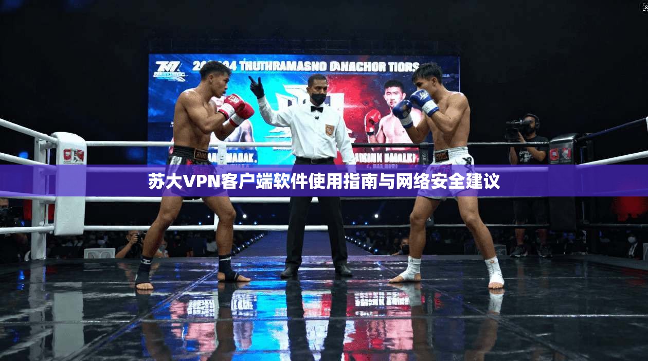 苏大VPN客户端软件使用指南与网络安全建议