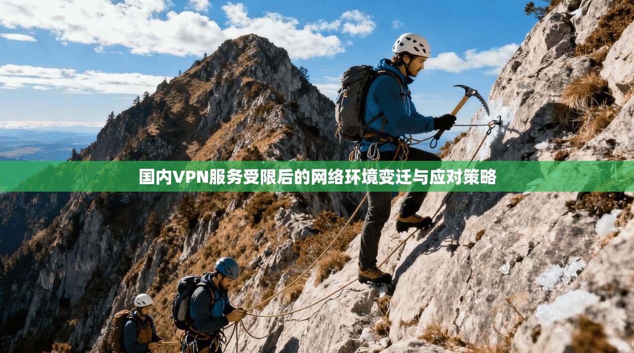 国内VPN服务受限后的网络环境变迁与应对策略 国内VPN服务受限后的网络环境变迁与应对策略