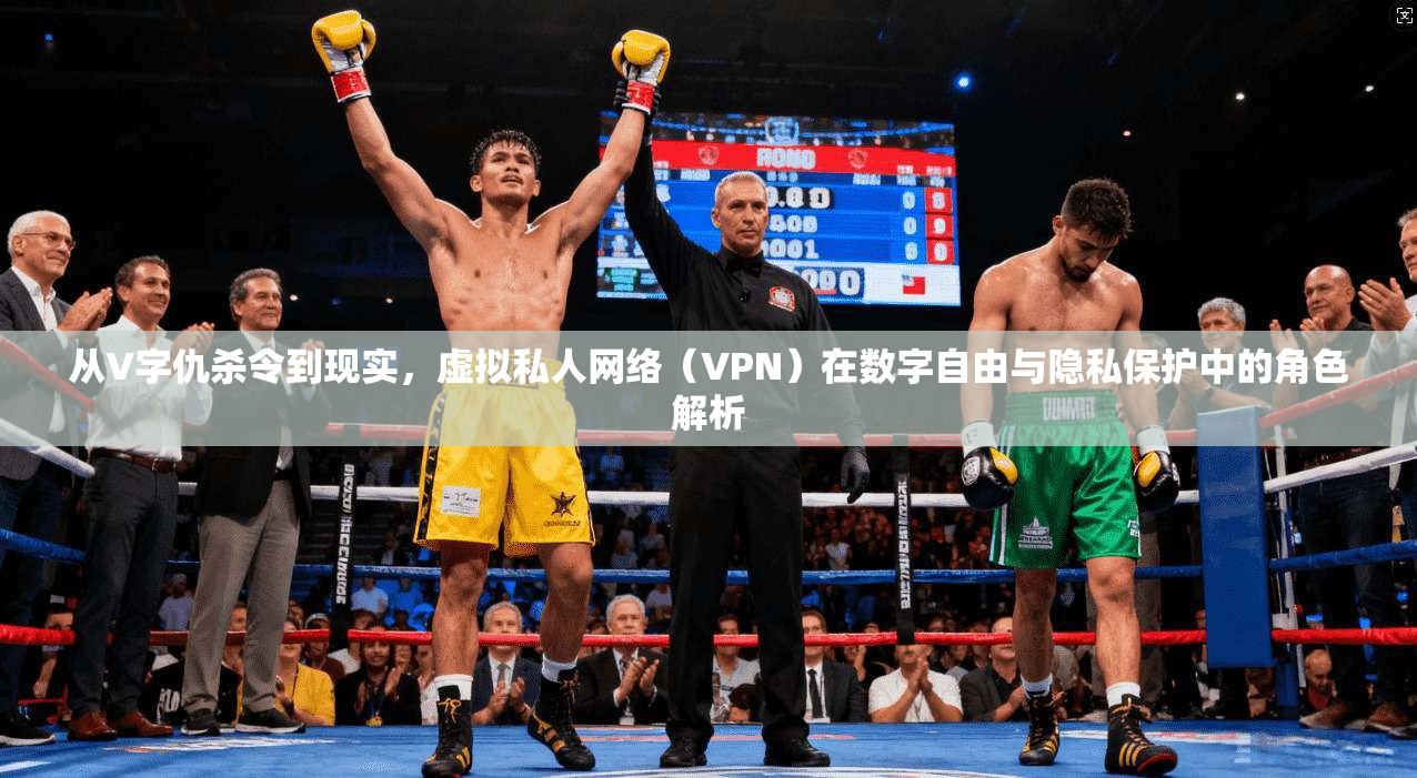 从V字仇杀令到现实,虚拟私人网络(VPN)在数字自由与隐私保护中的角色解析 从V字仇杀令到现实,虚拟私人网络(VPN)在数字自由与隐私保护中的角色解析