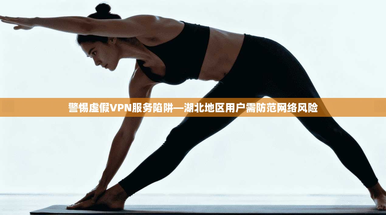 警惕虚假VPN服务陷阱—湖北地区用户需防范网络风险