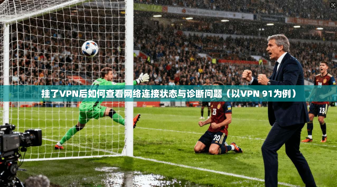 挂了VPN后如何查看网络连接状态与诊断问题(以VPN 91为例) 挂了VPN后如何查看网络连接状态与诊断问题(以VPN 91为例)