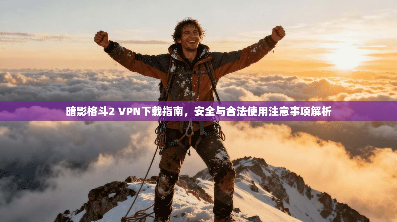 暗影格斗2 VPN下载指南，安全与合法使用注意事项解析