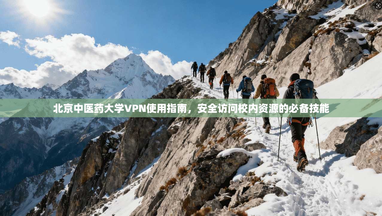 北京中医药大学VPN使用指南,安全访问校内资源的必备技能 北京中医药大学VPN使用指南,安全访问校内资源的必备技能