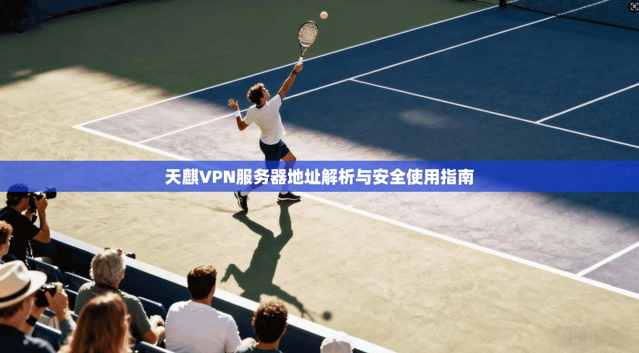 天麒VPN服务器地址解析与安全使用指南