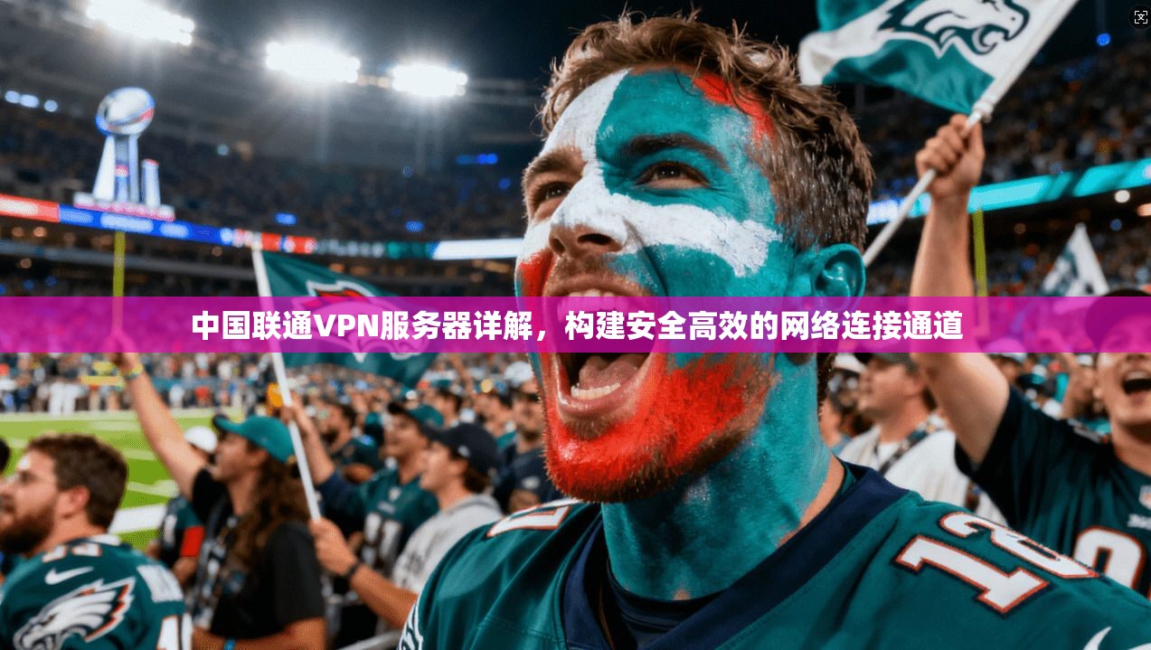 中国联通VPN服务器详解，构建安全高效的网络连接通道