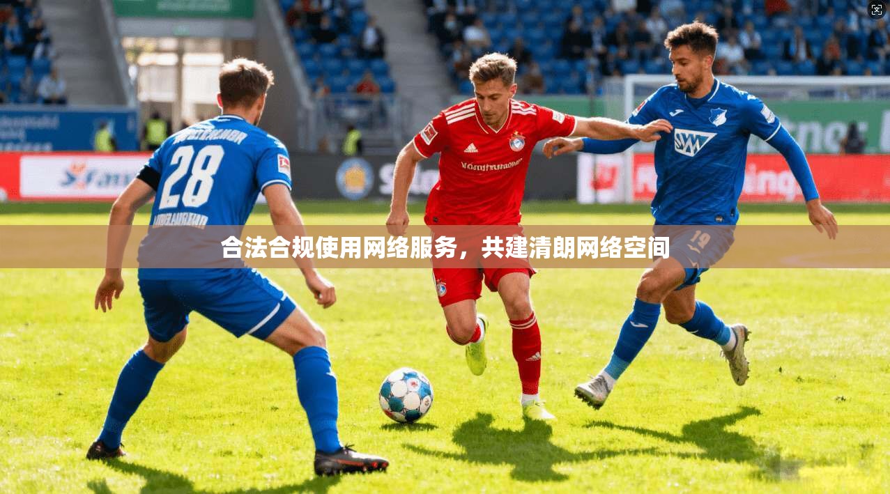 合法合规使用网络服务，共建清朗网络空间