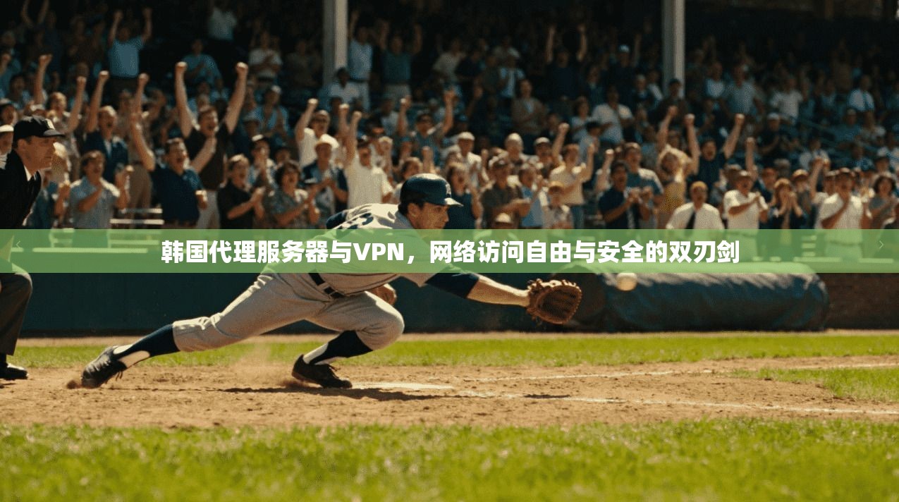 韩国代理服务器与VPN，网络访问自由与安全的双刃剑