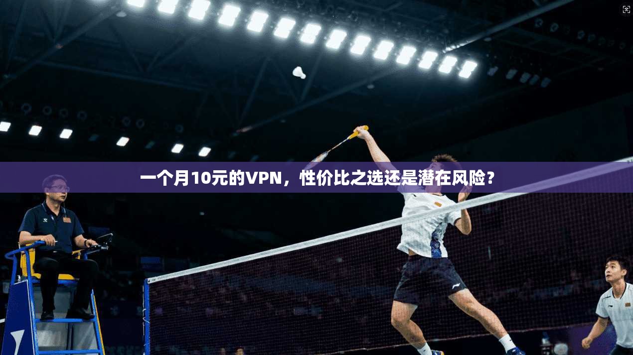 一个月10元的VPN，性价比之选还是潜在风险？