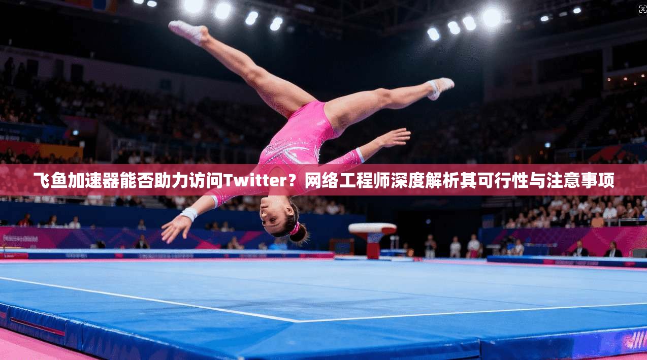 飞鱼加速器能否助力访问Twitter？网络工程师深度解析其可行性与注意事项