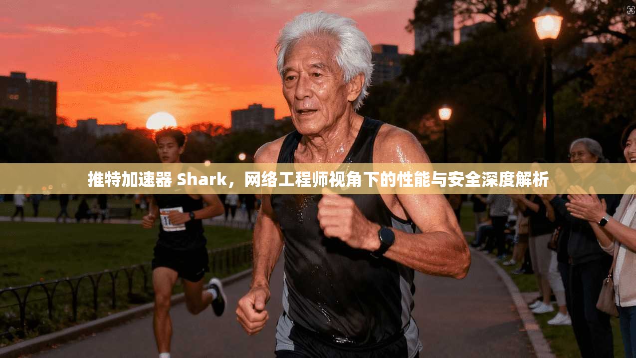 推特加速器 Shark,网络工程师视角下的性能与安全深度解析 推特加速器 Shark,网络工程师视角下的性能与安全深度解析