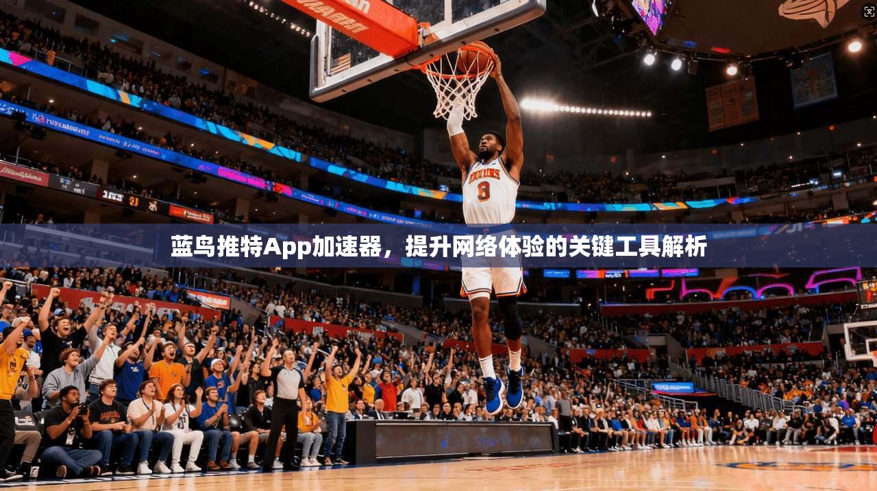 蓝鸟推特App加速器，提升网络体验的关键工具解析