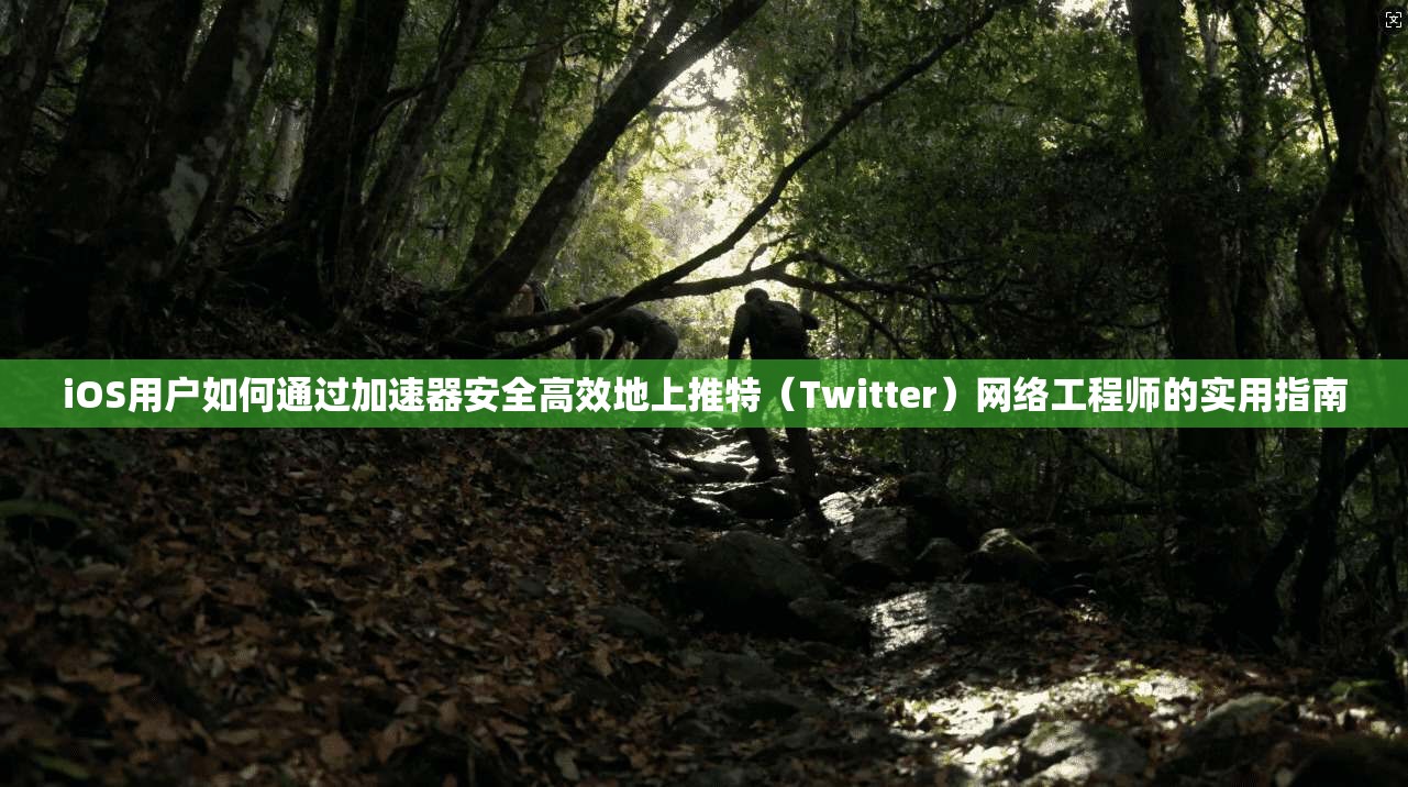 iOS用户如何通过加速器安全高效地上推特（Twitter）网络工程师的实用指南