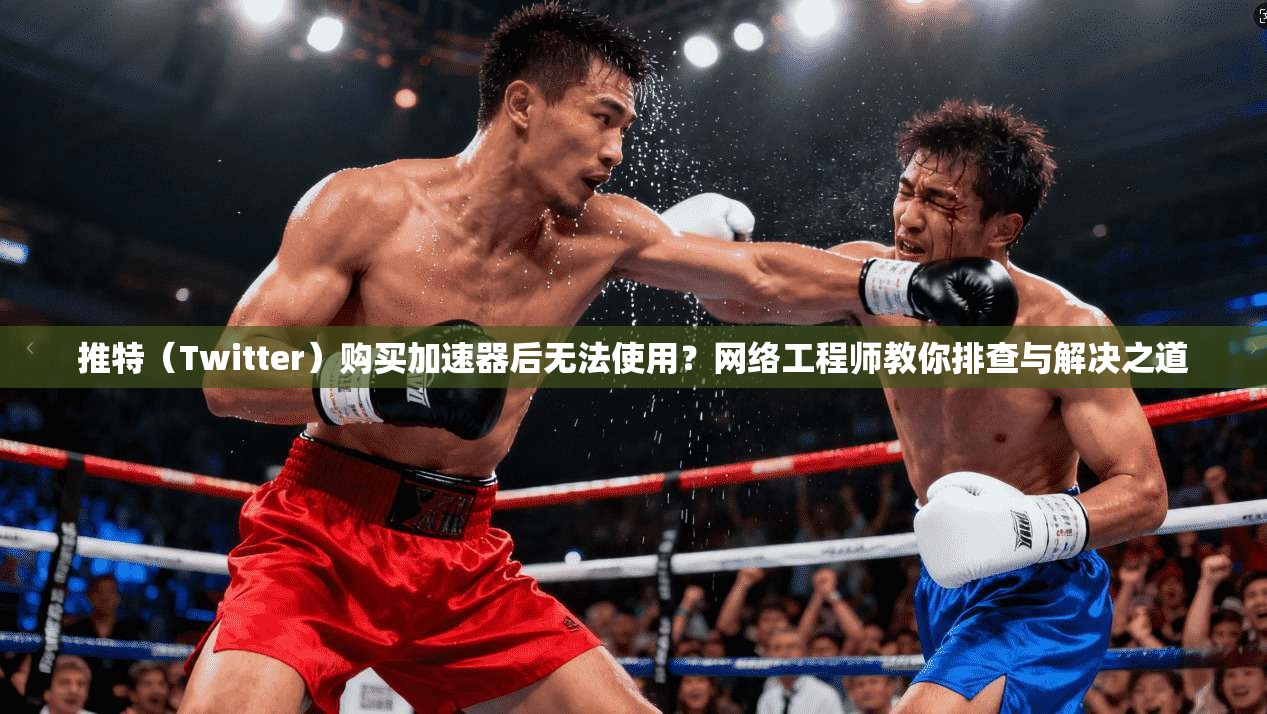 推特（Twitter）购买加速器后无法使用？网络工程师教你排查与解决之道