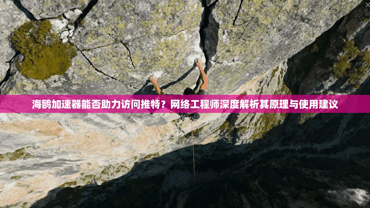 海鸥加速器能否助力访问推特？网络工程师深度解析其原理与使用建议