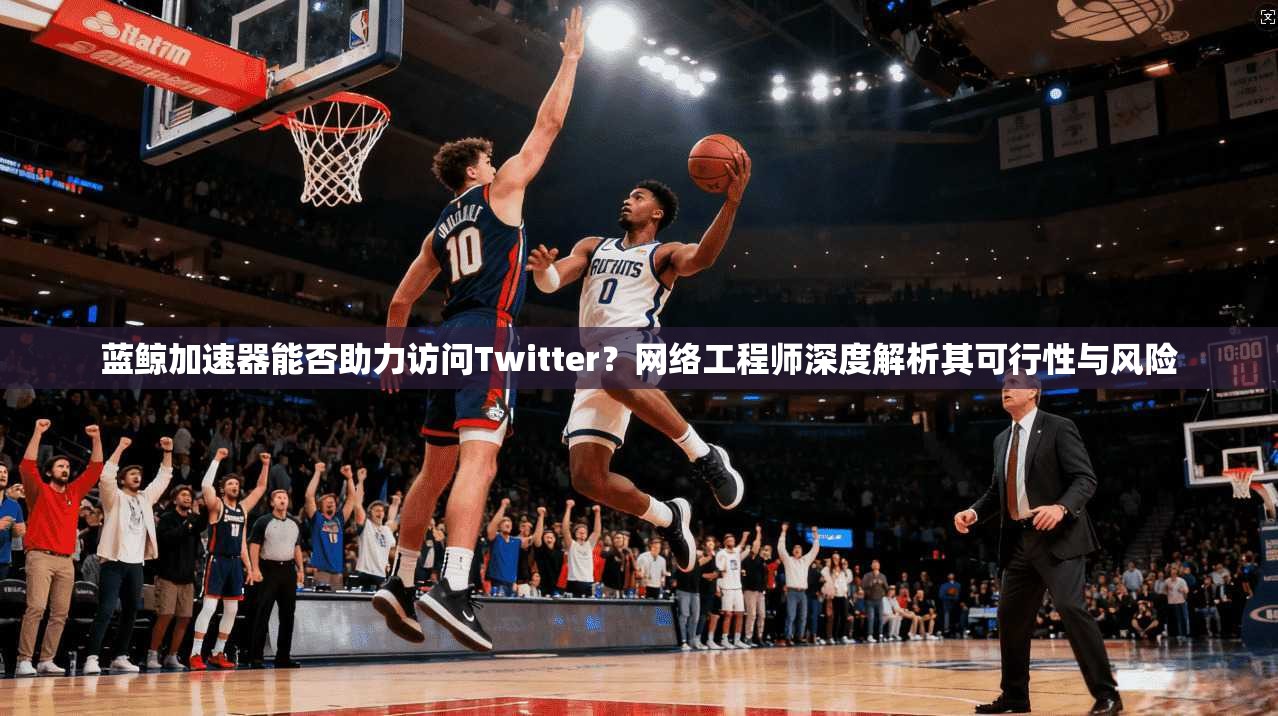 蓝鲸加速器能否助力访问Twitter?网络工程师深度解析其可行性与风险 蓝鲸加速器能否助力访问Twitter?网络工程师深度解析其可行性与风险