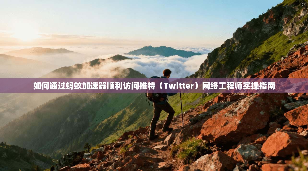 如何通过蚂蚁加速器顺利访问推特（Twitter）网络工程师实操指南