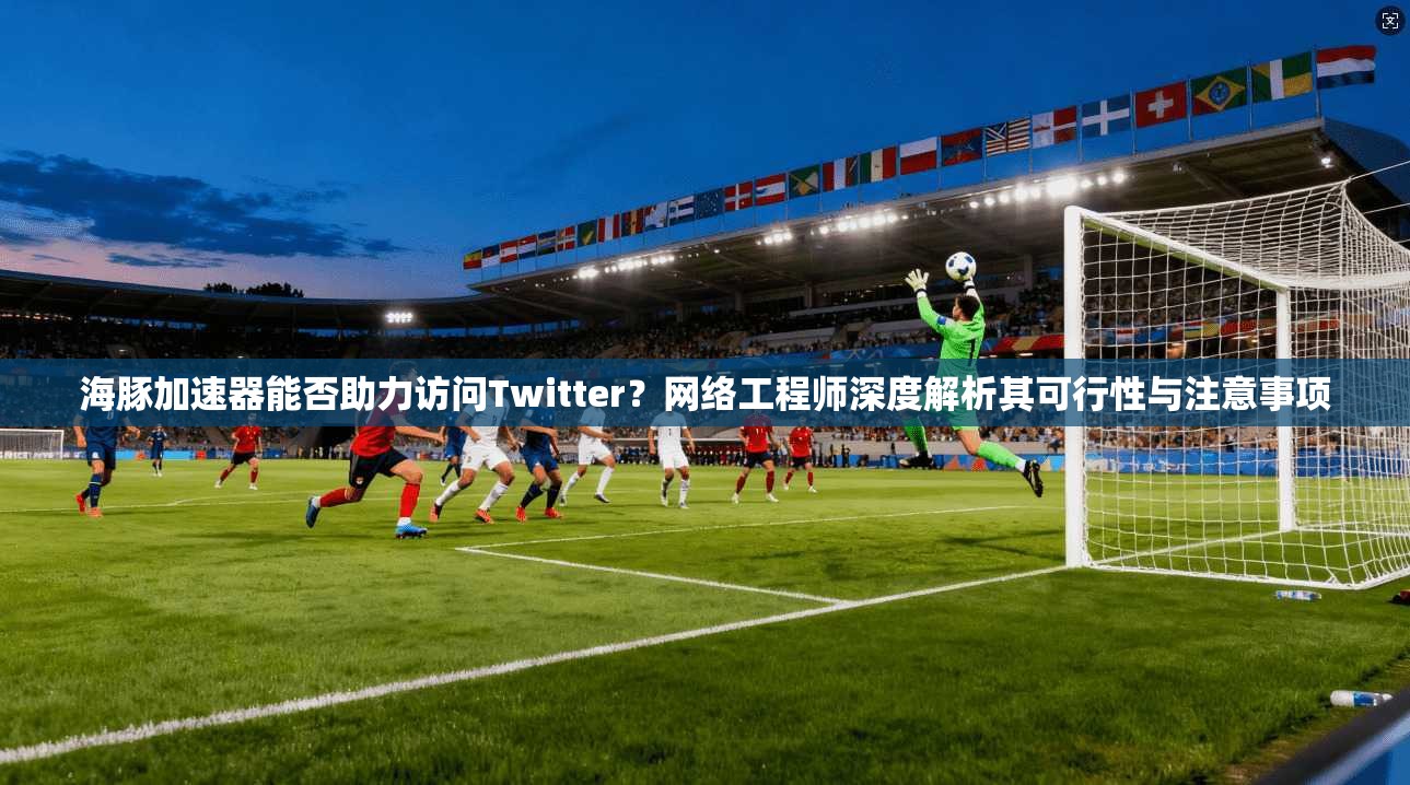 海豚加速器能否助力访问Twitter？网络工程师深度解析其可行性与注意事项