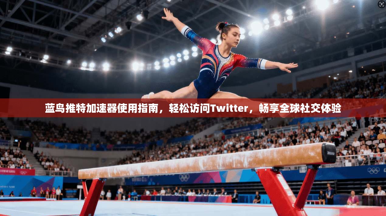 蓝鸟推特加速器使用指南,轻松访问Twitter,畅享全球社交体验 蓝鸟推特加速器使用指南,轻松访问Twitter,畅享全球社交体验