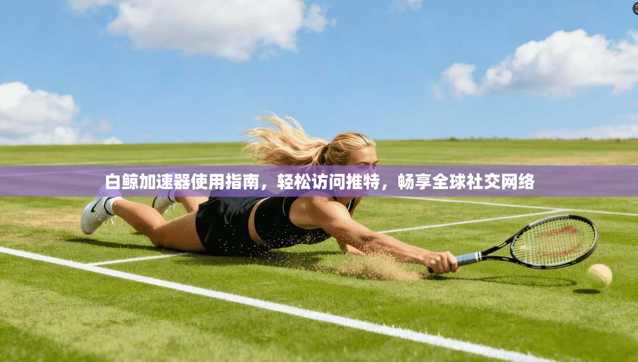 白鲸加速器使用指南,轻松访问推特,畅享全球社交网络 白鲸加速器使用指南,轻松访问推特,畅享全球社交网络