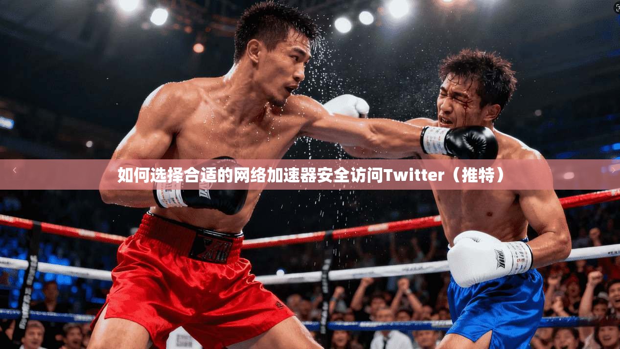 如何选择合适的网络加速器安全访问Twitter（推特）