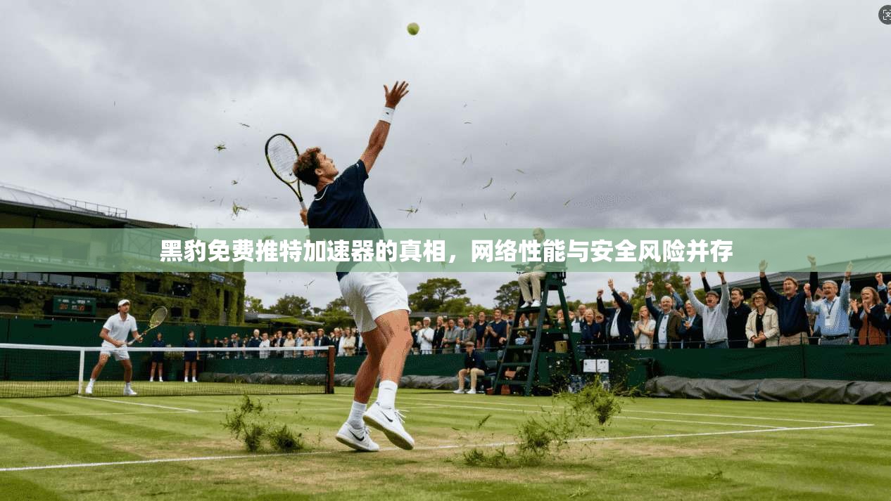 黑豹免费推特加速器的真相,网络性能与安全风险并存 黑豹免费推特加速器的真相,网络性能与安全风险并存