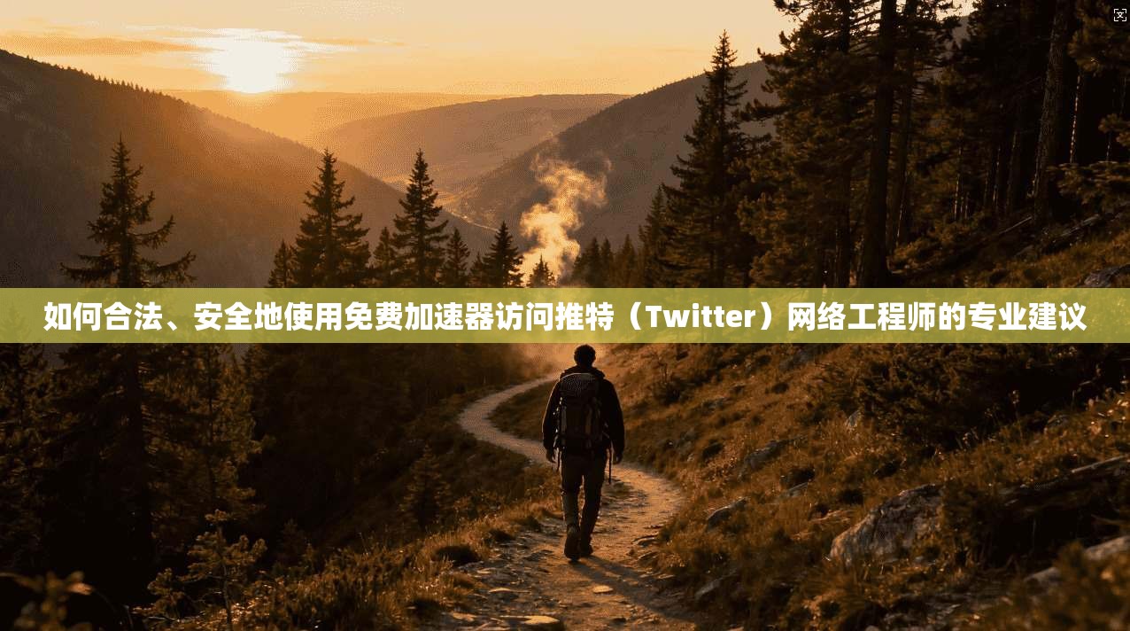 如何合法、安全地使用免费加速器访问推特（Twitter）网络工程师的专业建议