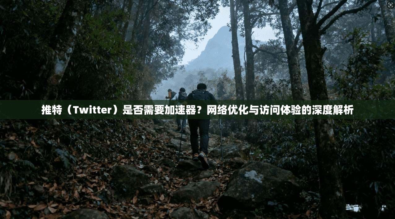 推特（Twitter）是否需要加速器？网络优化与访问体验的深度解析