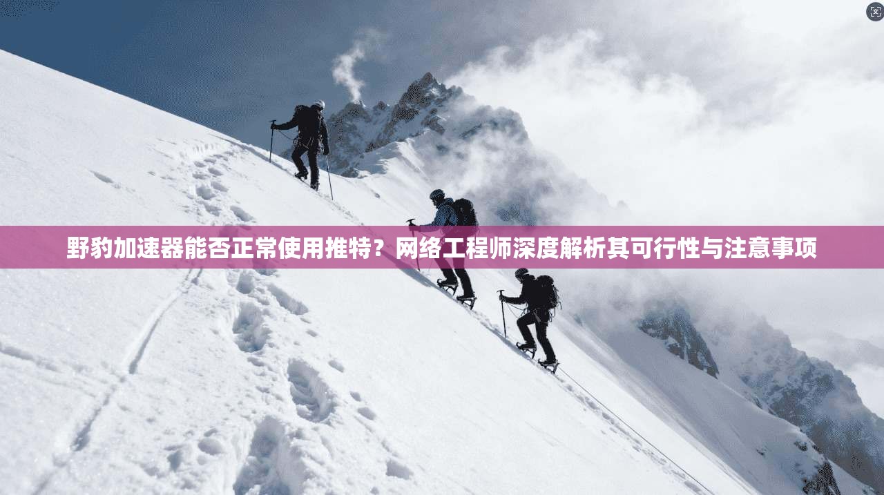 野豹加速器能否正常使用推特?网络工程师深度解析其可行性与注意事项 野豹加速器能否正常使用推特?网络工程师深度解析其可行性与注意事项