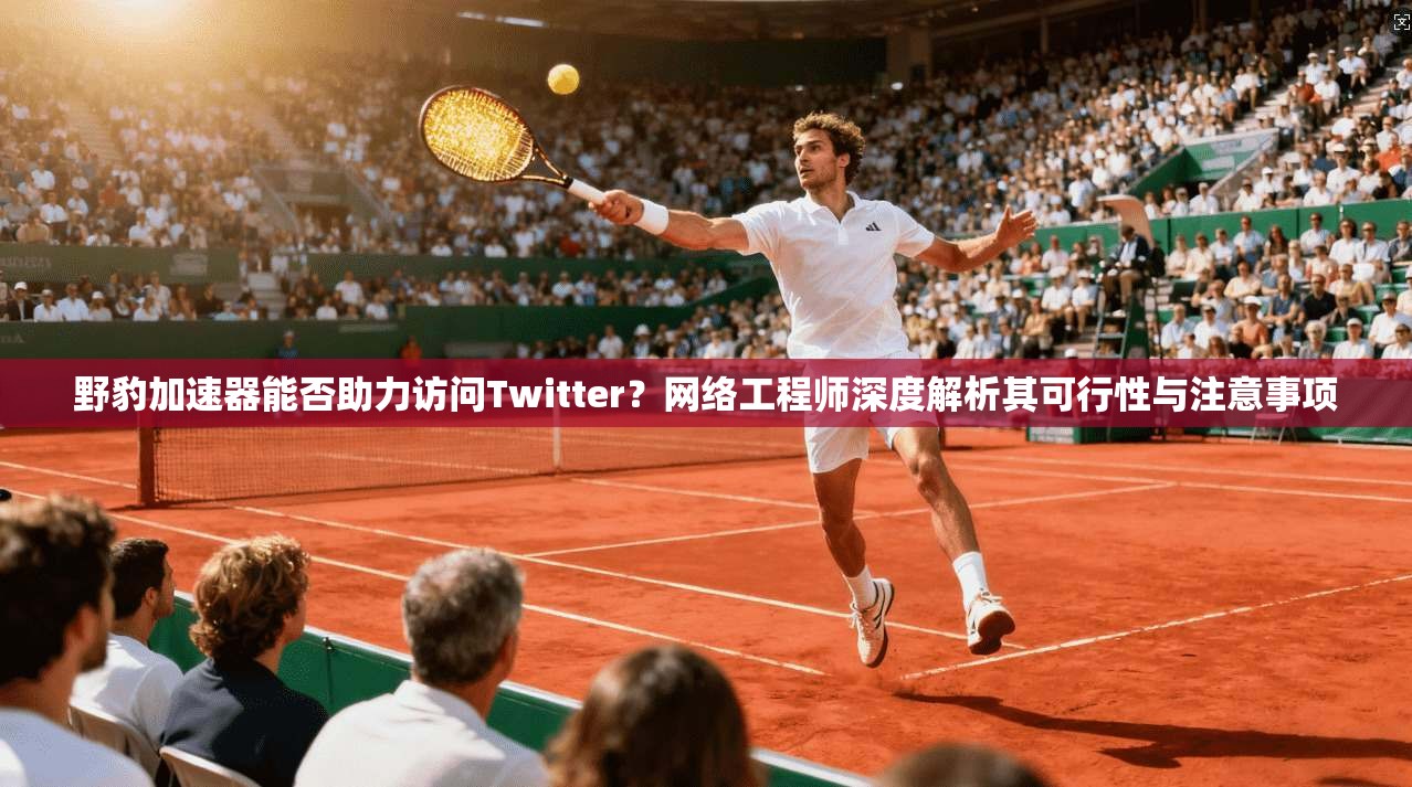 野豹加速器能否助力访问Twitter？网络工程师深度解析其可行性与注意事项