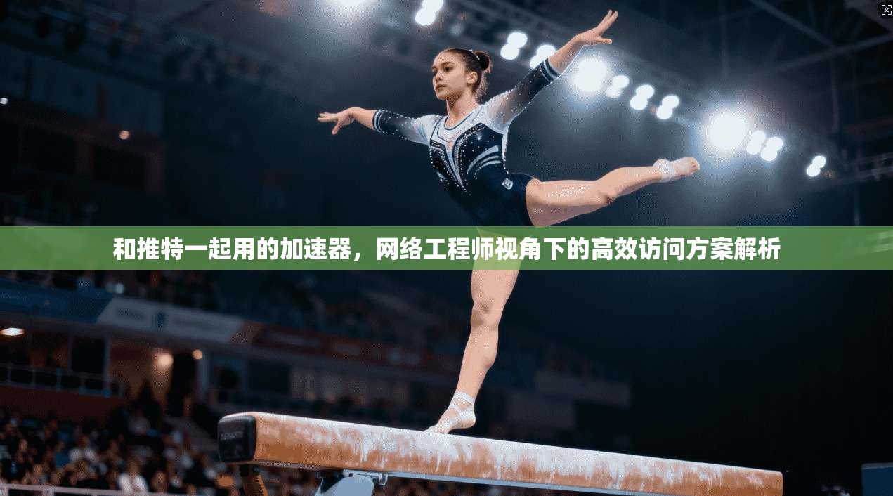 和推特一起用的加速器,网络工程师视角下的高效访问方案解析 和推特一起用的加速器,网络工程师视角下的高效访问方案解析