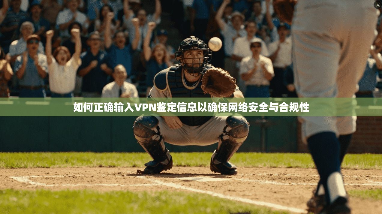 如何正确输入VPN鉴定信息以确保网络安全与合规性 如何正确输入VPN鉴定信息以确保网络安全与合规性