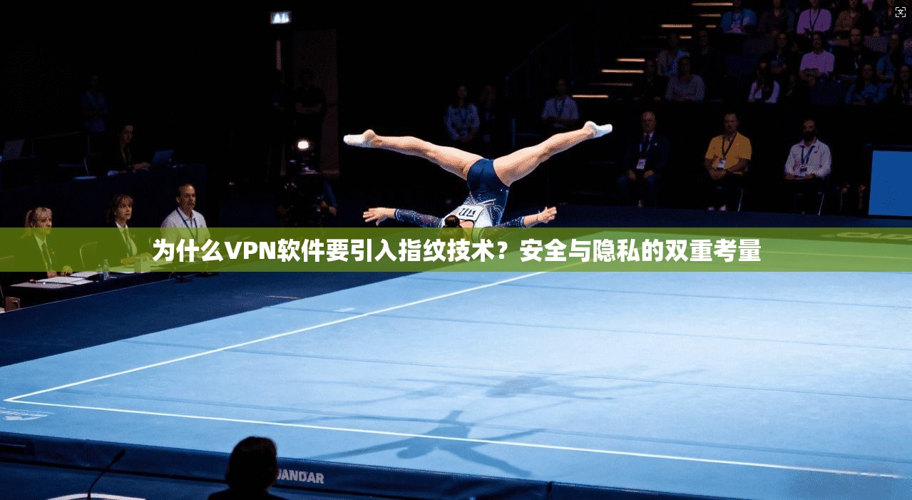 为什么VPN软件要引入指纹技术?安全与隐私的双重考量 为什么VPN软件要引入指纹技术?安全与隐私的双重考量